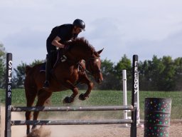 IMG_5705_web